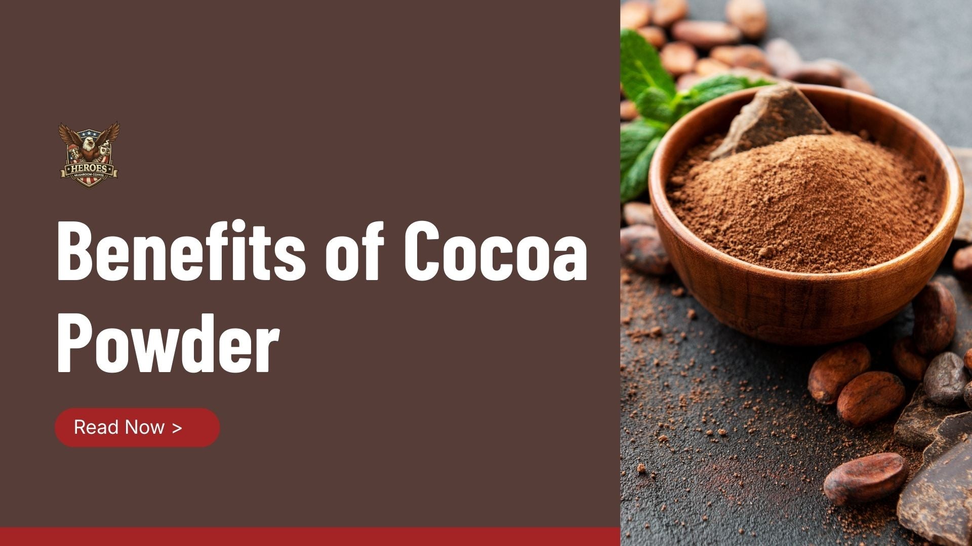 The Benefits of Cocoa Powder: Real Energy, Better Focus, and Heart Health Support - Heroes Mushroom Coffee