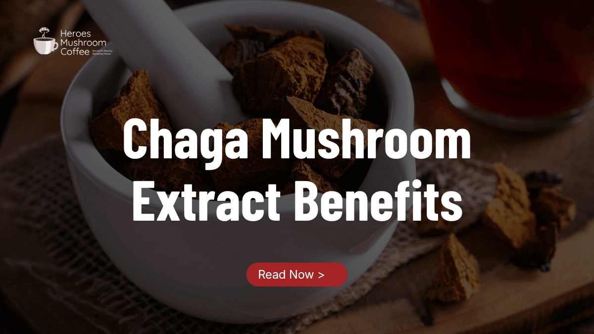 Chaga Mushroom Coffee Benefits: Immune Support That Works - Heroes Mushroom Coffee