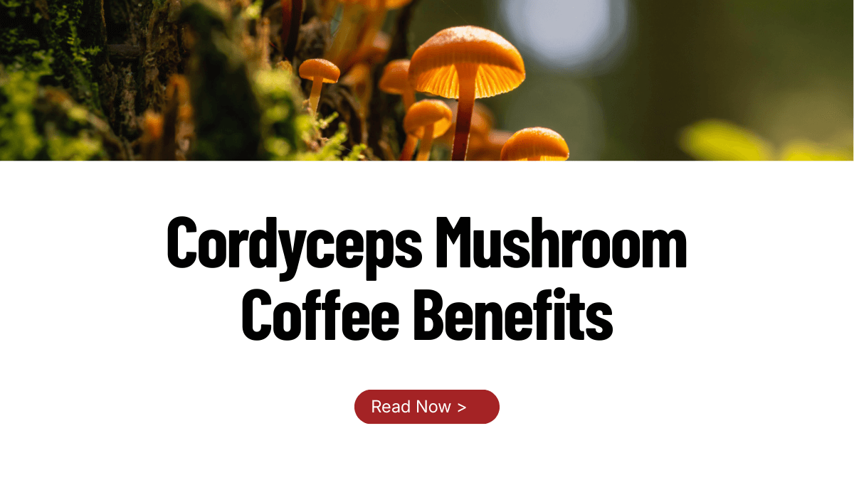 Cordyceps Mushroom Coffee Benefits: Clean Energy Without Crashes - Heroes Mushroom Coffee