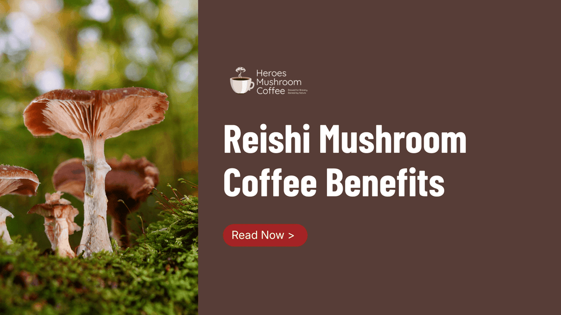 Reishi Mushroom Coffee Benefits: Calm Energy &amp; Stress Relief - Heroes Mushroom Coffee