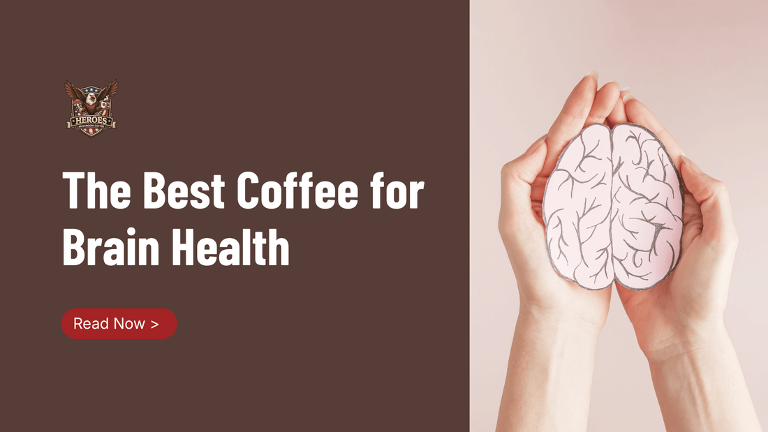 The Best Coffee for Brain Health: Clean Focus Without the Crash - Heroes Mushroom Coffee