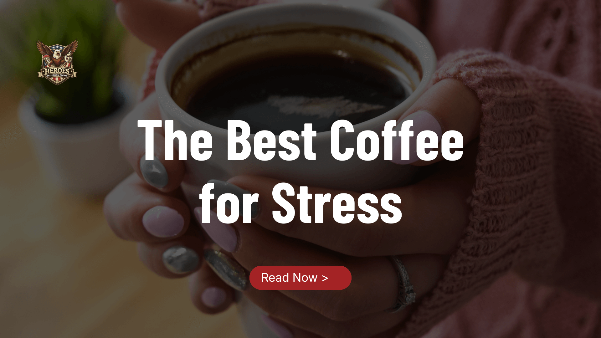 The Best Coffee for Stress: Calm Energy Without the Jitters - Heroes Mushroom Coffee
