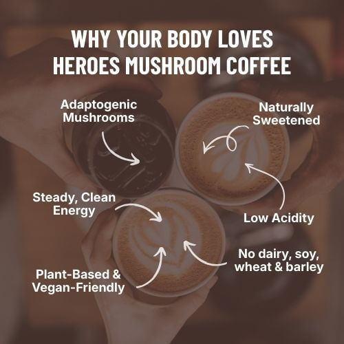Heroes Mushroom Coffee - SAMPLE PACKETS